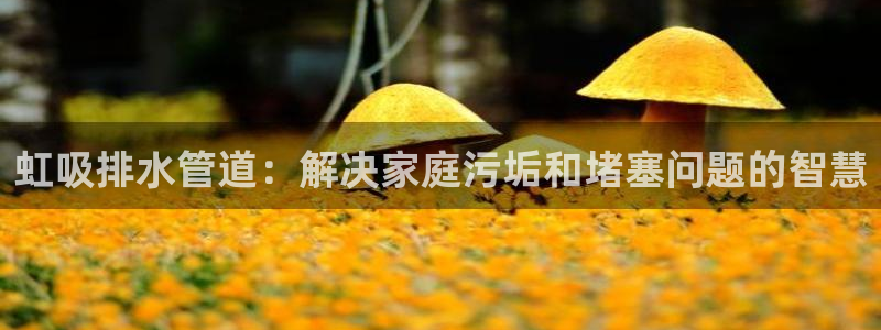 南充天辰娱乐