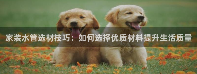 天辰水娱乐