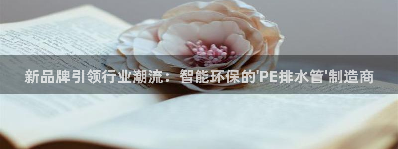 天辰娱乐服务