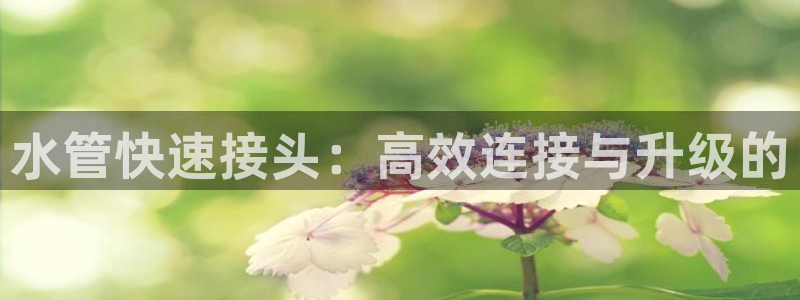 天辰娱乐分红