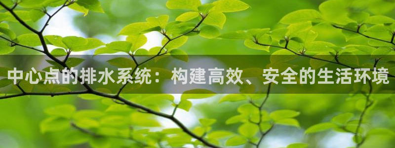 天辰娱乐 qq