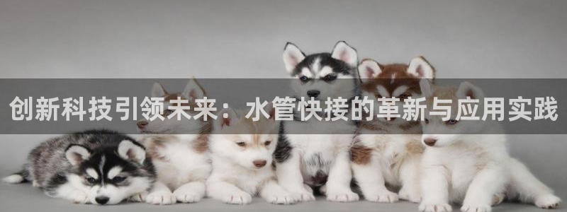广东天辰娱乐