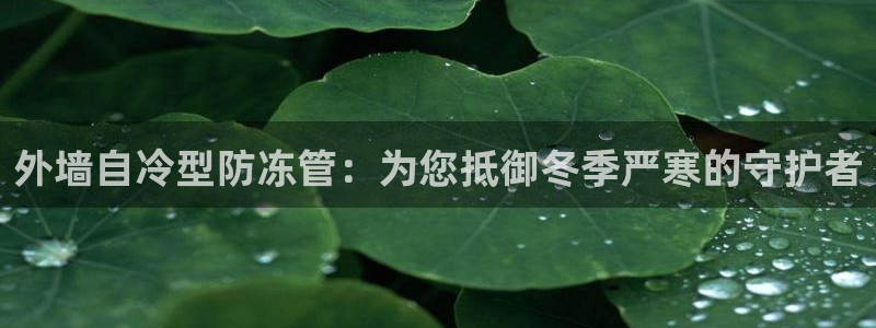 天辰娱乐棋牌