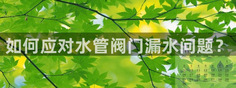天辰彩票娱乐