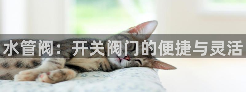 天辰娱乐-18113