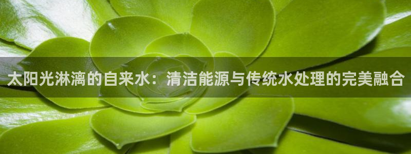 天辰娱乐-q